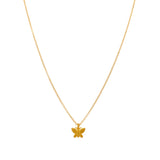 Papillon (Preis auf Anfrage)