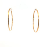 Gold Hoops